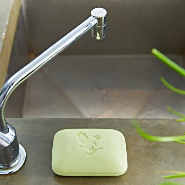 SAVON CORPS ET VISAGE À L'ALOE ET À L'AVOCAT